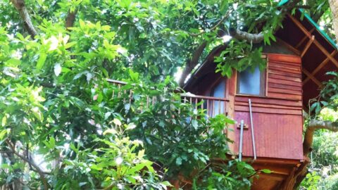 Tree House Mekkarai | Mekkarai Amusement Park